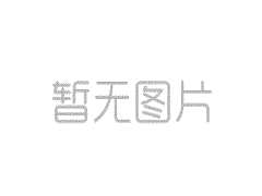 上海市计算机行业协会换届改选黄颖雷当选会长